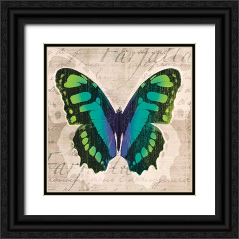 Butterflies II Black Ornate Wood Framed Art Print with Double Matting by Venter, Tandi
