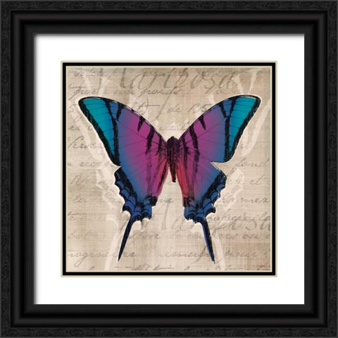 Butterflies IV Black Ornate Wood Framed Art Print with Double Matting by Venter, Tandi