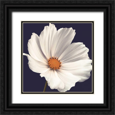 Cosmos I Black Ornate Wood Framed Art Print with Double Matting by Frank, Assaf
