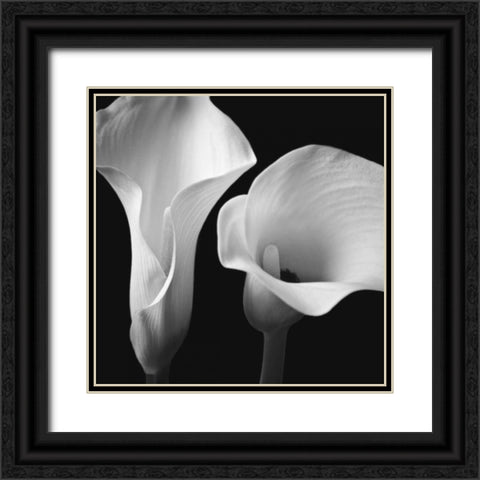 Softness II Black Ornate Wood Framed Art Print with Double Matting by Frank, Assaf