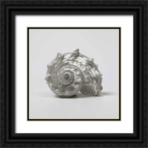 Beachside Treasure III Black Ornate Wood Framed Art Print with Double Matting by Frank, Assaf