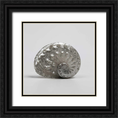 Beachside Treasure IV Black Ornate Wood Framed Art Print with Double Matting by Frank, Assaf