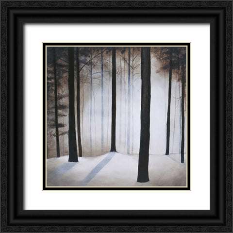Winter Solace Black Ornate Wood Framed Art Print with Double Matting by St.Germain, Patrick