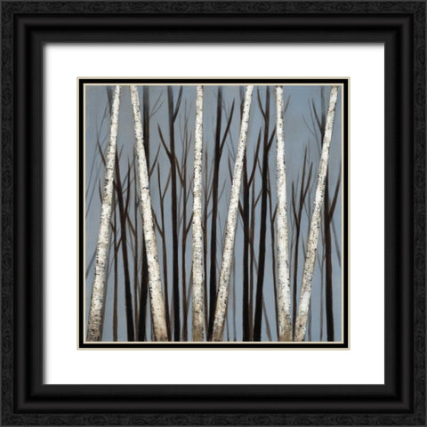 Birch Shadows Black Ornate Wood Framed Art Print with Double Matting by EVE