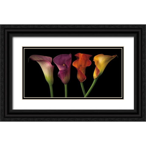 Jewel Calla Lilies Black Ornate Wood Framed Art Print with Double Matting by Frank, Assaf