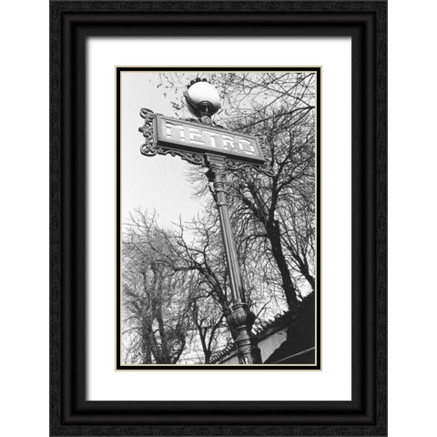 Metro Black Ornate Wood Framed Art Print with Double Matting by Davidson, Clay