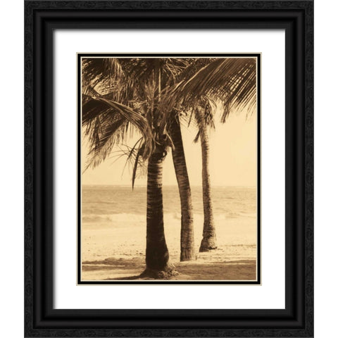 Palm Beach II Black Ornate Wood Framed Art Print with Double Matting by Kelly, Dennis