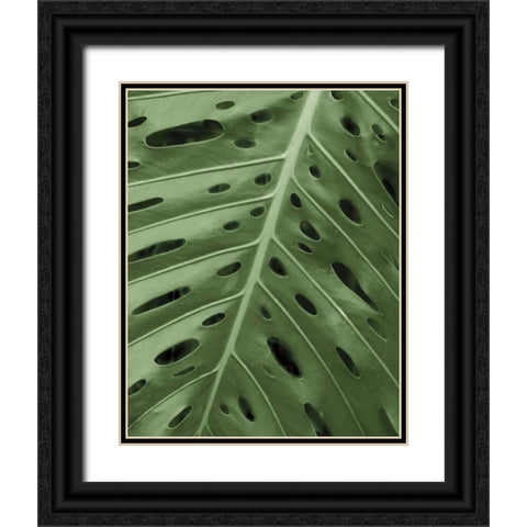 Tropica II Black Ornate Wood Framed Art Print with Double Matting by Maihara/Watt, Jeff/Boyce
