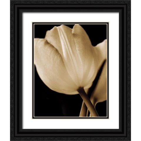 Radiance I Black Ornate Wood Framed Art Print with Double Matting by Ryan, Cinzia