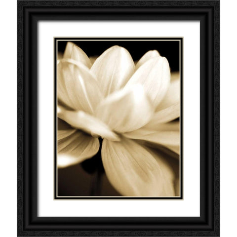 Radiance II Black Ornate Wood Framed Art Print with Double Matting by Ryan, Cinzia