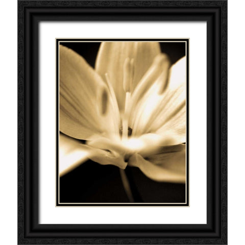 Radiance III Black Ornate Wood Framed Art Print with Double Matting by Ryan, Cinzia