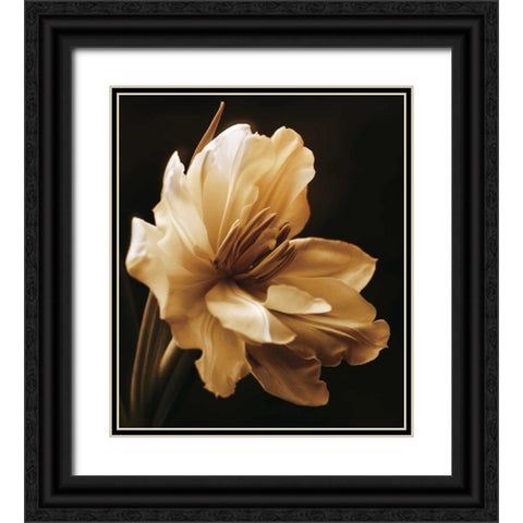 Timeless Grace I Black Ornate Wood Framed Art Print with Double Matting by Britt, Charles