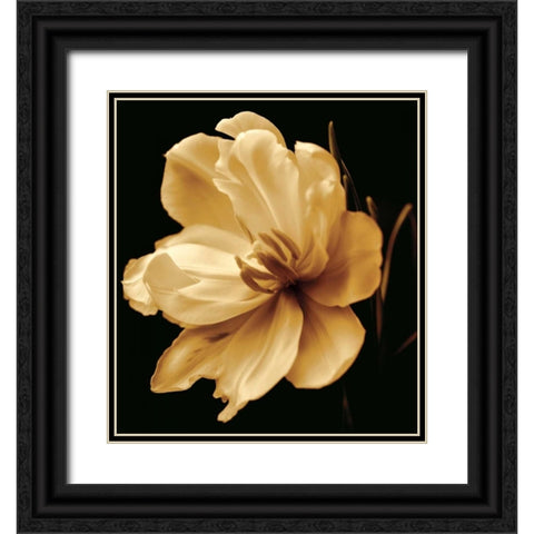 Timeless Grace III Black Ornate Wood Framed Art Print with Double Matting by Britt, Charles