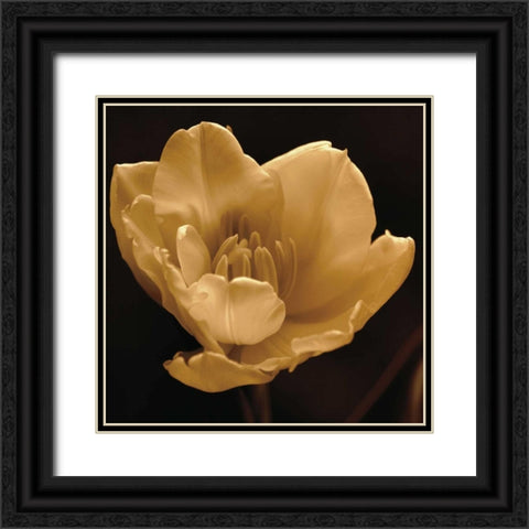 Timeless Grace IV Black Ornate Wood Framed Art Print with Double Matting by Britt, Charles