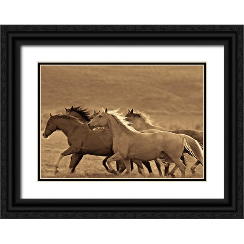 Like the Wind II Black Ornate Wood Framed Art Print with Double Matting by Caro, Wendy