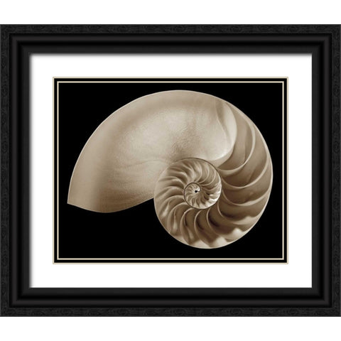 Ocean Keepsake II Black Ornate Wood Framed Art Print with Double Matting by Britt, Charles