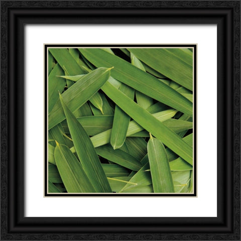 Scattered Leaves Black Ornate Wood Framed Art Print with Double Matting by Maihara/Watt, Jeff/Boyce