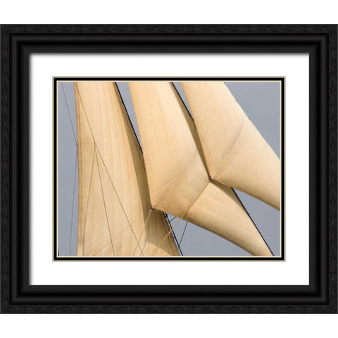 Windward I Black Ornate Wood Framed Art Print with Double Matting by LeBlanc, Frederick J.