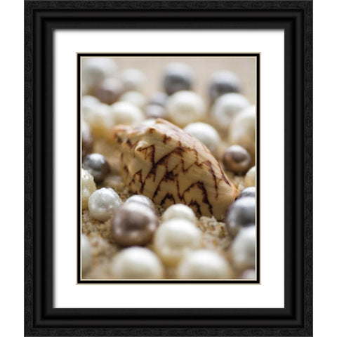 Sea Jewels IV Black Ornate Wood Framed Art Print with Double Matting by Maihara/Watt, Jeff/Boyce