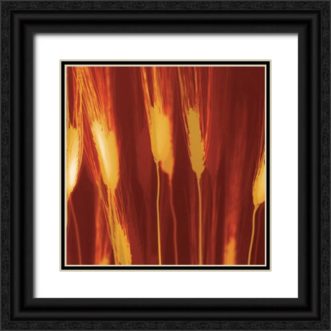 Harvest Black Ornate Wood Framed Art Print with Double Matting by Jantzer, Ethan