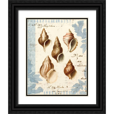 Seashell Collection II Black Ornate Wood Framed Art Print with Double Matting by Berg, Sabine