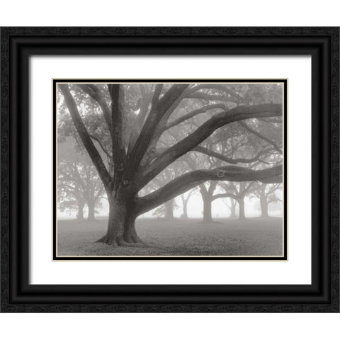 Oak Grove in Fog Black Ornate Wood Framed Art Print with Double Matting by Guion, William
