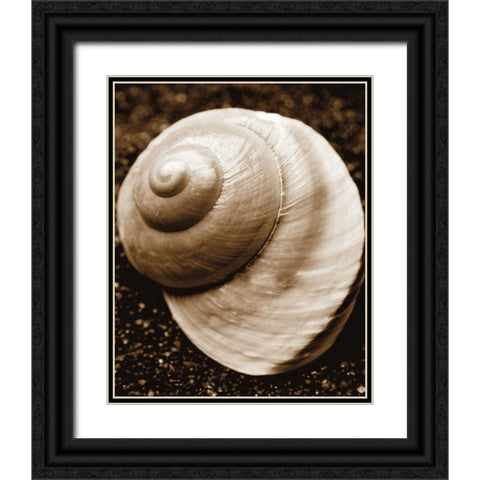 Sea Gallery II Black Ornate Wood Framed Art Print with Double Matting by Maihara/Watt, Jeff/Boyce