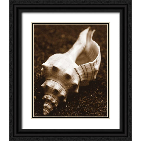Sea Gallery III Black Ornate Wood Framed Art Print with Double Matting by Maihara/Watt, Jeff/Boyce