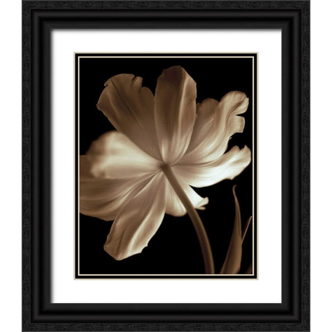 Champagne Tulip II Black Ornate Wood Framed Art Print with Double Matting by Britt, Charles