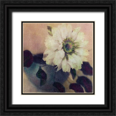 Natures Blossoms I Black Ornate Wood Framed Art Print with Double Matting by Friedman, Susan