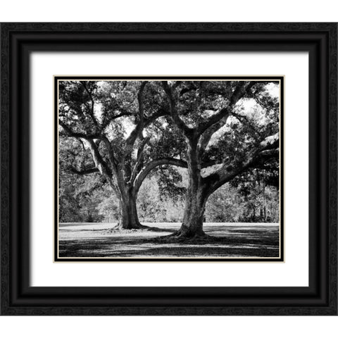 Oak Grove I Black Ornate Wood Framed Art Print with Double Matting by Maihara/Watt, Jeff/Boyce
