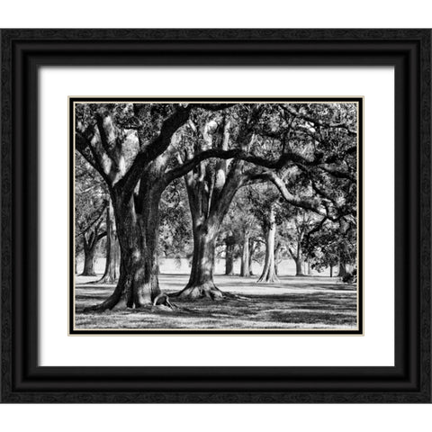 Oak Grove II Black Ornate Wood Framed Art Print with Double Matting by Maihara/Watt, Jeff/Boyce