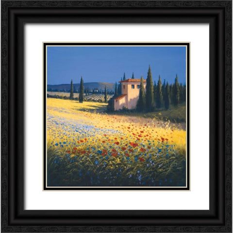 Summer Villa Black Ornate Wood Framed Art Print with Double Matting by Short, David