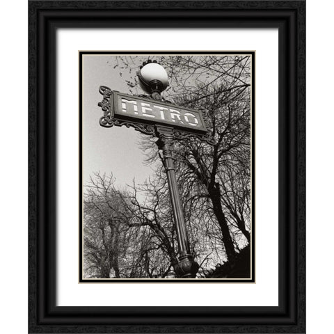 Metro Black Ornate Wood Framed Art Print with Double Matting by Davidson, Clay