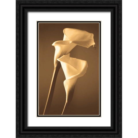 Enlightenment Black Ornate Wood Framed Art Print with Double Matting by Ryan, Cinzia