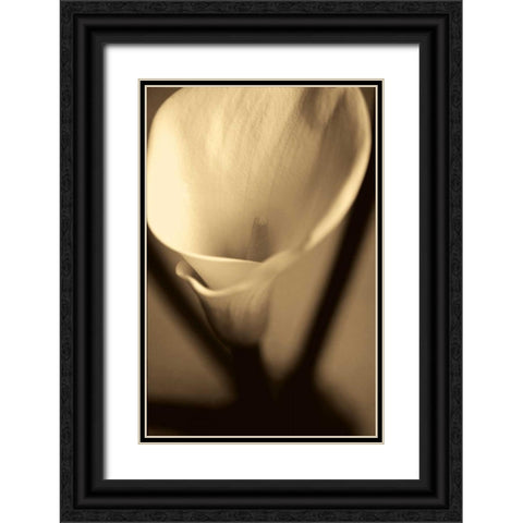 Divinity Black Ornate Wood Framed Art Print with Double Matting by Ryan, Cinzia