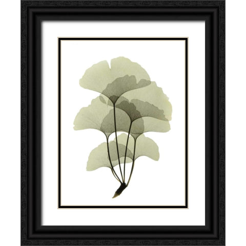 Ginko II Black Ornate Wood Framed Art Print with Double Matting by ACEE