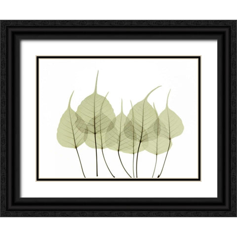 Woodlands I Black Ornate Wood Framed Art Print with Double Matting by ACEE
