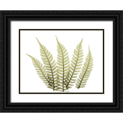 Woodlands II Black Ornate Wood Framed Art Print with Double Matting by ACEE