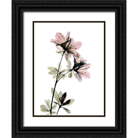 Azalea Black Ornate Wood Framed Art Print with Double Matting by ACEE