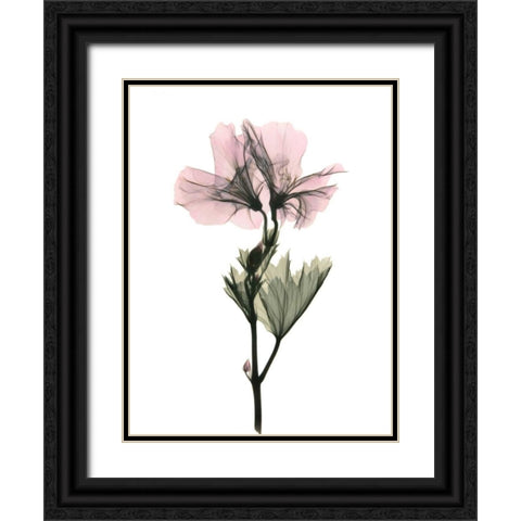 Geranium Black Ornate Wood Framed Art Print with Double Matting by ACEE