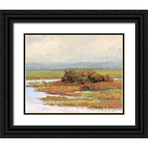 Jewels of the Wetlands Series One Black Ornate Wood Framed Art Print with Double Matting by Curt, Brigitte