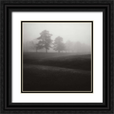 Fog Tree Study II Black Ornate Wood Framed Art Print with Double Matting by Cook, Jamie