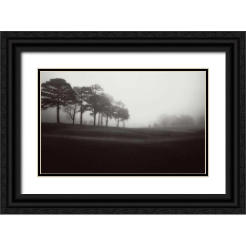 Fog Tree Study III Black Ornate Wood Framed Art Print with Double Matting by Cook, Jamie