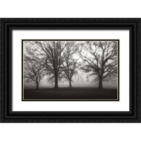 Fog Tree Study IV Black Ornate Wood Framed Art Print with Double Matting by Cook, Jamie