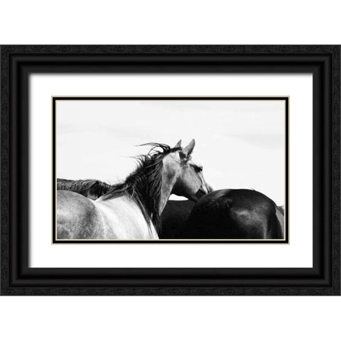 Wild Whispers I Black Ornate Wood Framed Art Print with Double Matting by Corpeny, Peggy