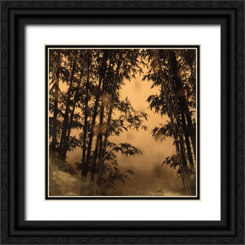 Shadow Play I Black Ornate Wood Framed Art Print with Double Matting by Endo, Madeleine