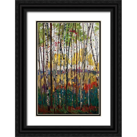 Voile De Montogne Black Ornate Wood Framed Art Print with Double Matting by Forsythe, Graham