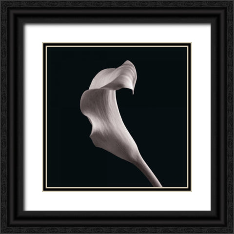 Lilies Black Ornate Wood Framed Art Print with Double Matting by Faragher, Michael