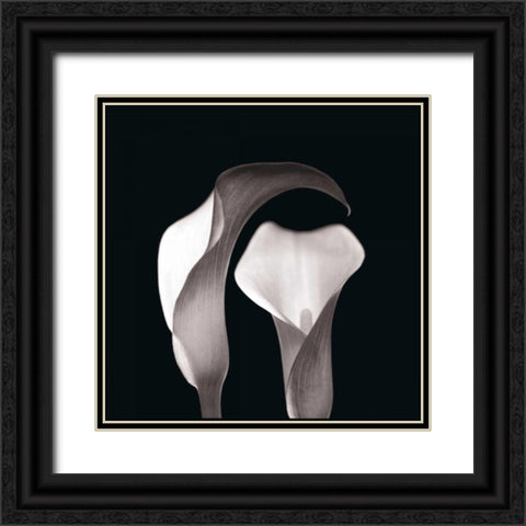 Lilies Black Ornate Wood Framed Art Print with Double Matting by Faragher, Michael